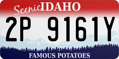 ID license plate 2P9161Y