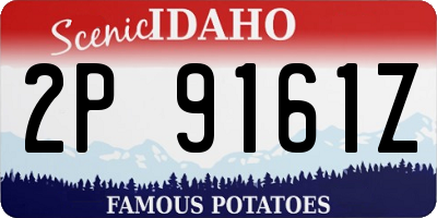 ID license plate 2P9161Z