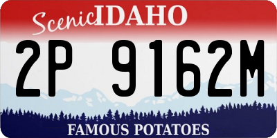 ID license plate 2P9162M