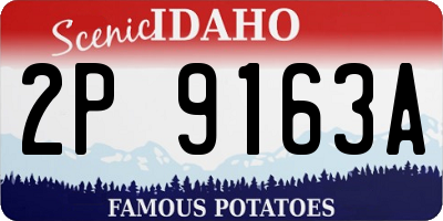 ID license plate 2P9163A