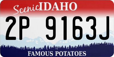 ID license plate 2P9163J