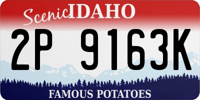 ID license plate 2P9163K