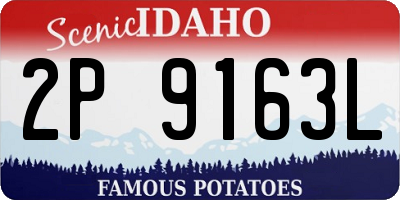 ID license plate 2P9163L