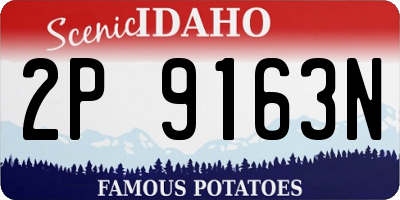 ID license plate 2P9163N