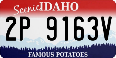 ID license plate 2P9163V