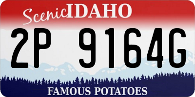 ID license plate 2P9164G