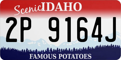 ID license plate 2P9164J