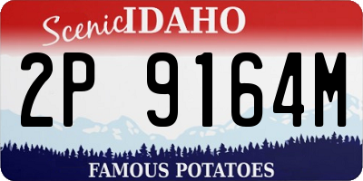 ID license plate 2P9164M