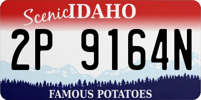 ID license plate 2P9164N