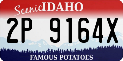 ID license plate 2P9164X