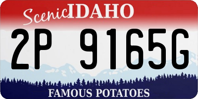 ID license plate 2P9165G