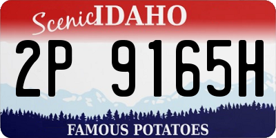 ID license plate 2P9165H
