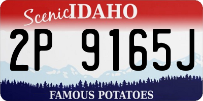 ID license plate 2P9165J