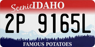 ID license plate 2P9165L