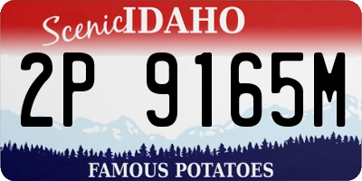 ID license plate 2P9165M
