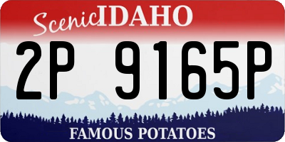 ID license plate 2P9165P