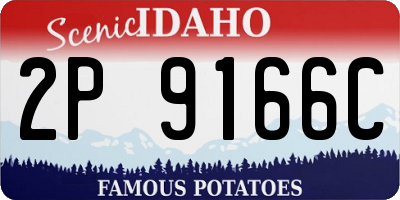 ID license plate 2P9166C