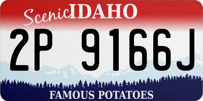 ID license plate 2P9166J