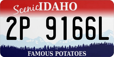 ID license plate 2P9166L