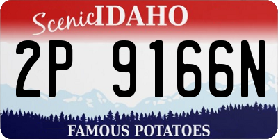 ID license plate 2P9166N