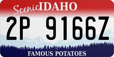 ID license plate 2P9166Z