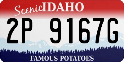 ID license plate 2P9167G