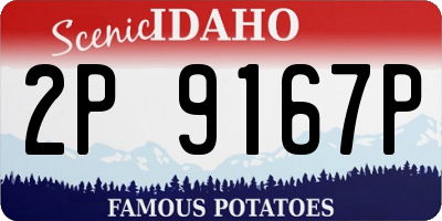 ID license plate 2P9167P