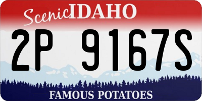 ID license plate 2P9167S