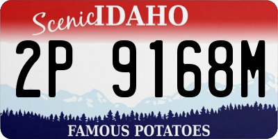ID license plate 2P9168M