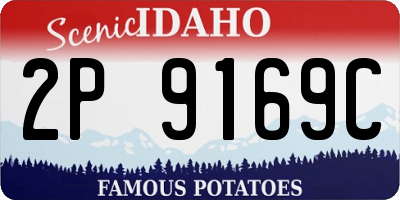 ID license plate 2P9169C