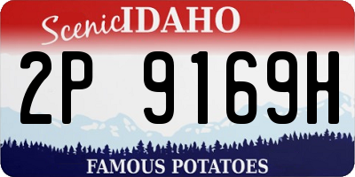 ID license plate 2P9169H