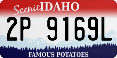 ID license plate 2P9169L