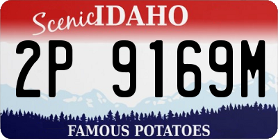 ID license plate 2P9169M