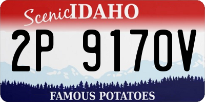ID license plate 2P9170V
