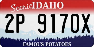 ID license plate 2P9170X