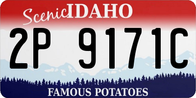 ID license plate 2P9171C