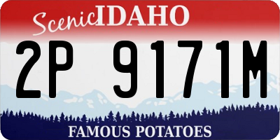 ID license plate 2P9171M