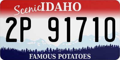 ID license plate 2P9171O