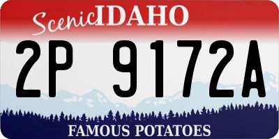 ID license plate 2P9172A