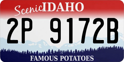 ID license plate 2P9172B