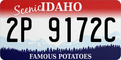 ID license plate 2P9172C