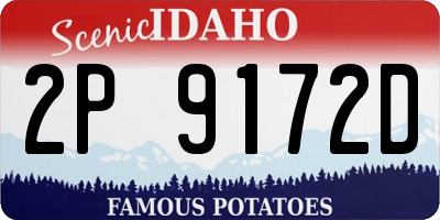 ID license plate 2P9172D