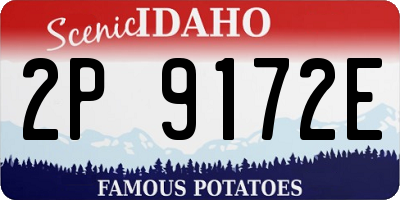ID license plate 2P9172E