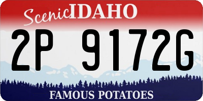 ID license plate 2P9172G