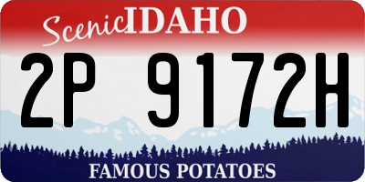 ID license plate 2P9172H