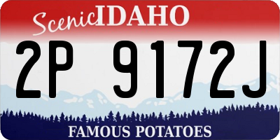 ID license plate 2P9172J