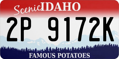 ID license plate 2P9172K