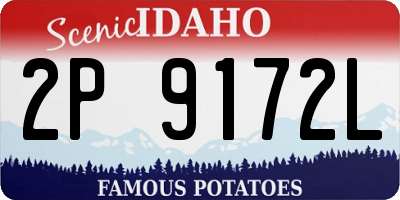 ID license plate 2P9172L