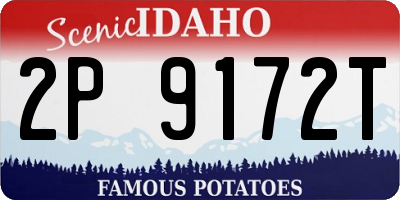 ID license plate 2P9172T