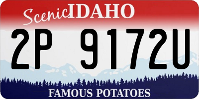 ID license plate 2P9172U